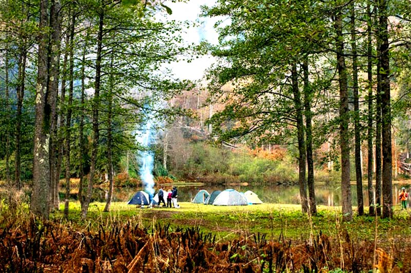 Borçka Kamp ve çadır